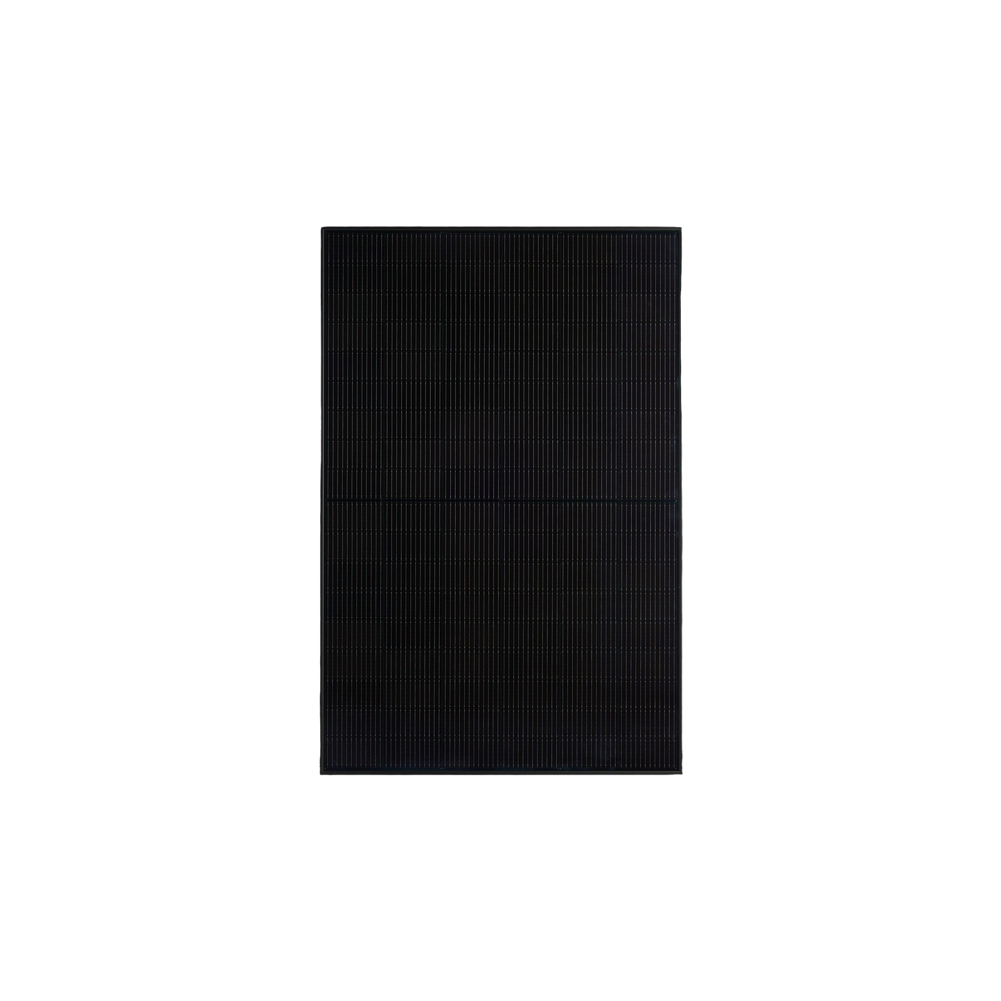 2767402000081737690